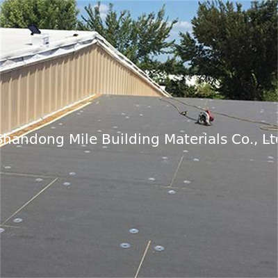 Leaf green roofs TPO waterproofing membrane TPO membrane hot welding homogeneous waterproofing membrane