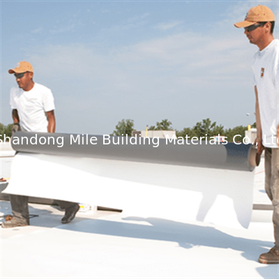 Leaf green roofs TPO waterproofing membrane TPO membrane hot welding homogeneous waterproofing membrane