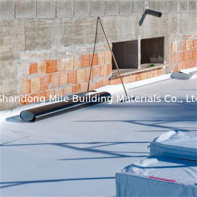 Leaf green roofs TPO waterproofing membrane TPO membrane hot welding homogeneous waterproofing membrane