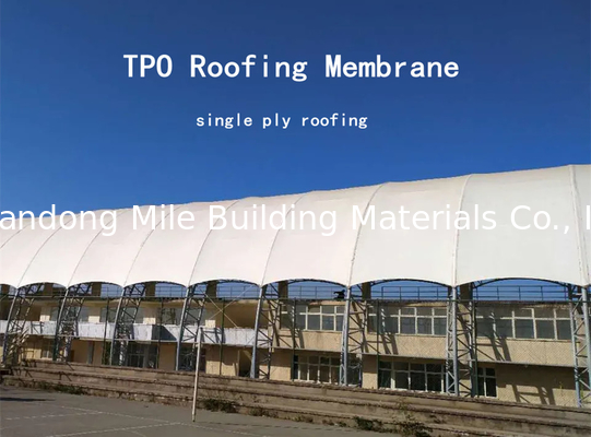 Leaf green roofs TPO waterproofing membrane TPO membrane hot welding homogeneous waterproofing membrane