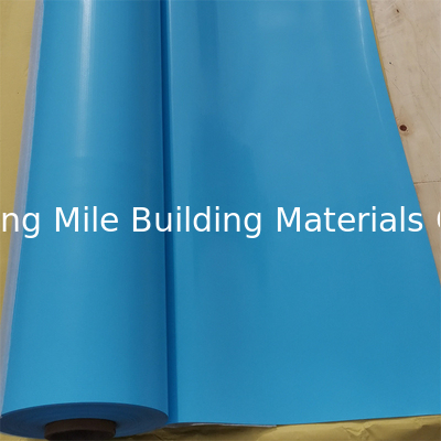 Durable Waterproof PVC Tarpaulin Color swimming pool cover overlap above ground pool liner