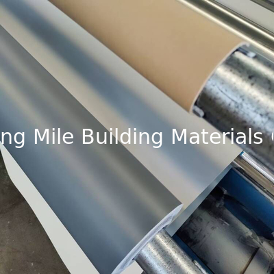 Reinforced with Fabric PVC Waterproofing Membrane for Roof Leaking
