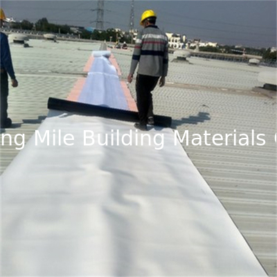 UV Resistant TPO Waterproofing Membrane Reinforced TPO Sheet Roofing Membrane