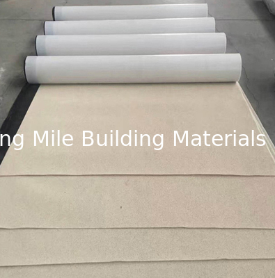 CE Certificate Pre-Applied HDPE Waterproof Membrane with Granular for Basement and Tunnel