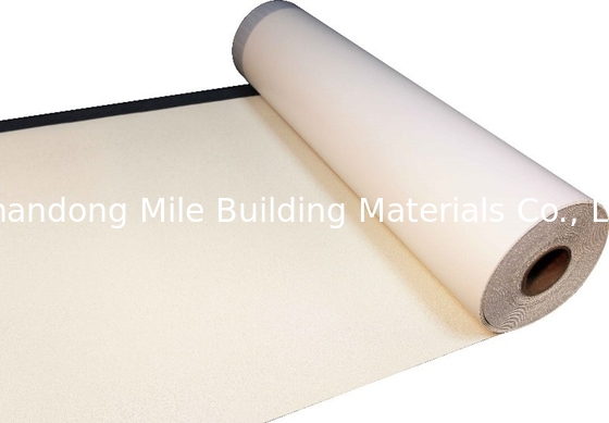 CE Certificate Pre-Applied HDPE Waterproof Membrane with Granular for Basement and Tunnel
