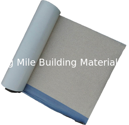 CE Certificate Pre-Applied HDPE Waterproof Membrane with Granular for Basement and Tunnel