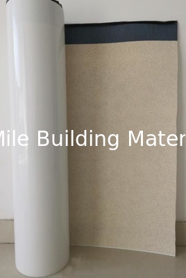 CE Certificate Pre-Applied HDPE Waterproof Membrane with Granular for Basement and Tunnel