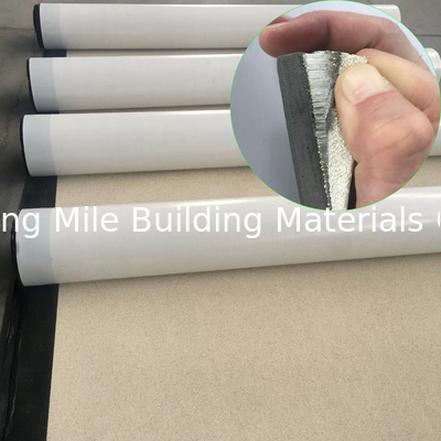 CE Certificate Pre-Applied HDPE Waterproof Membrane with Granular for Basement and Tunnel