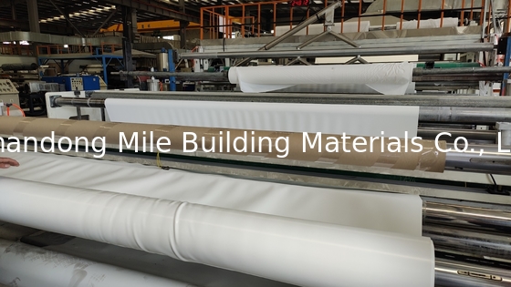 HDPE/EPDM/PVC/TPO Geomembrane Fish Pond Liner 0.5mm 0.75mm 1mm Waterproof Membrane Manufacturer Price