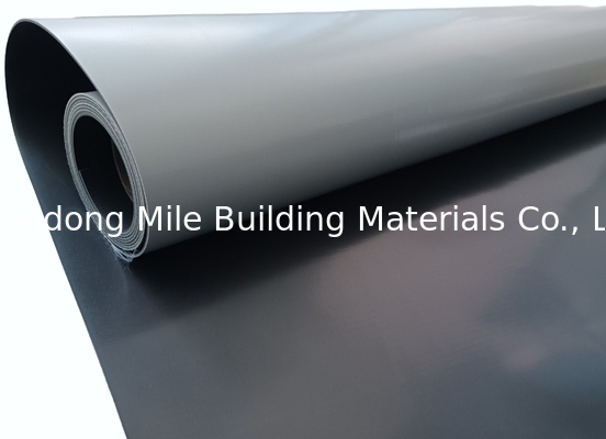 200cm, 3005cm Width Flat Roof Waterproofing TPO Membrane Industrial Design Style Butyl Rubber Material