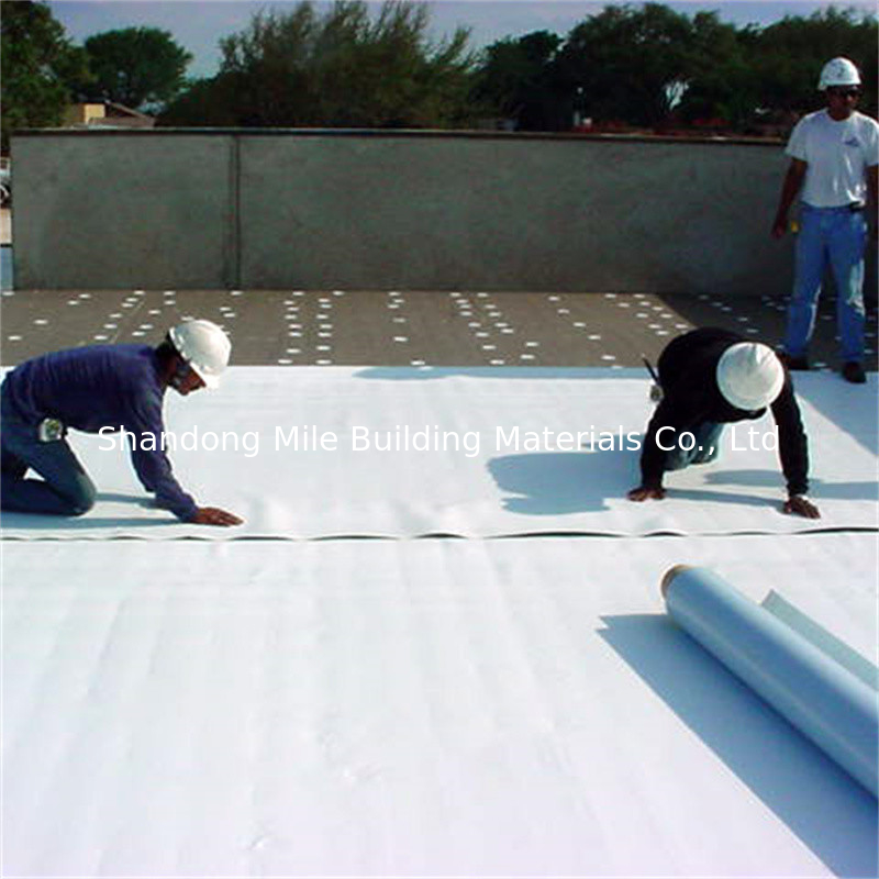Single Ply TPO Roof Membrane Smooth Version TPO Waterproof Membrane For Roofing Waterproof