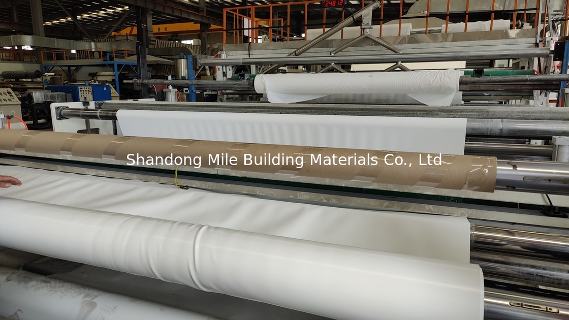 HDPE/EPDM/PVC/TPO Geomembrane Fish Pond Liner 0.5mm 0.75mm 1mm Waterproof Membrane Manufacturer Price